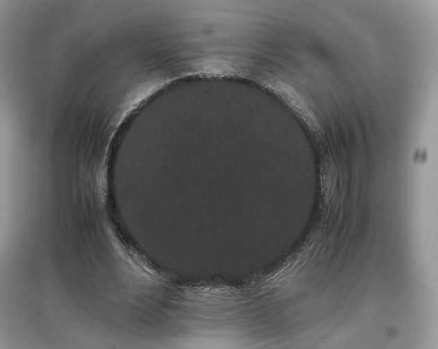 X0000097640488200803071556