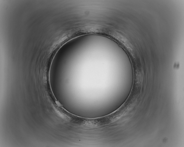 X0000097640489200803071556