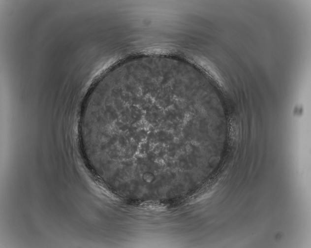 X0000097640491200803071556