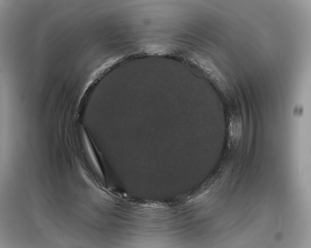 X0000097640492200803071556