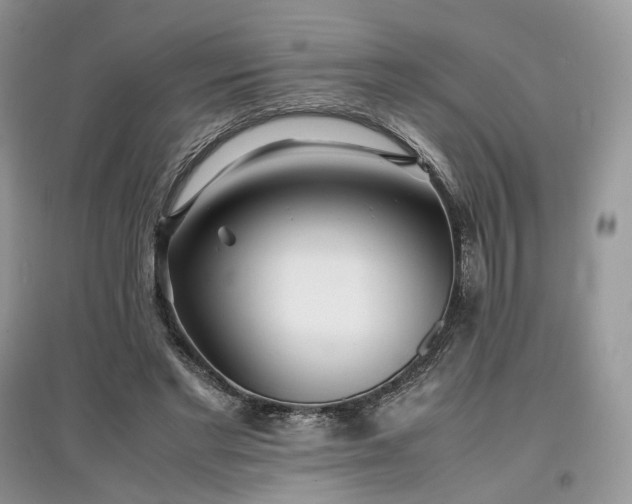 X0000097640493200803071556