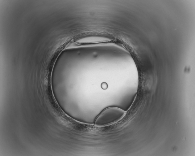 X0000097640495200803071556