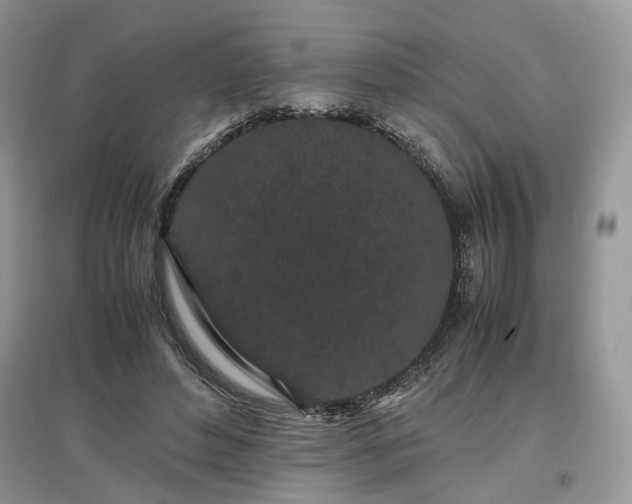 X0000097640496200803071556