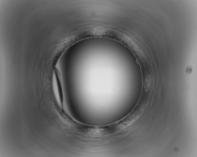 X0000097640497200803071556