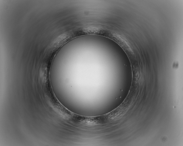 X0000097640498200803071556