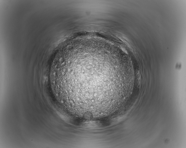 X0000097640499200803071556