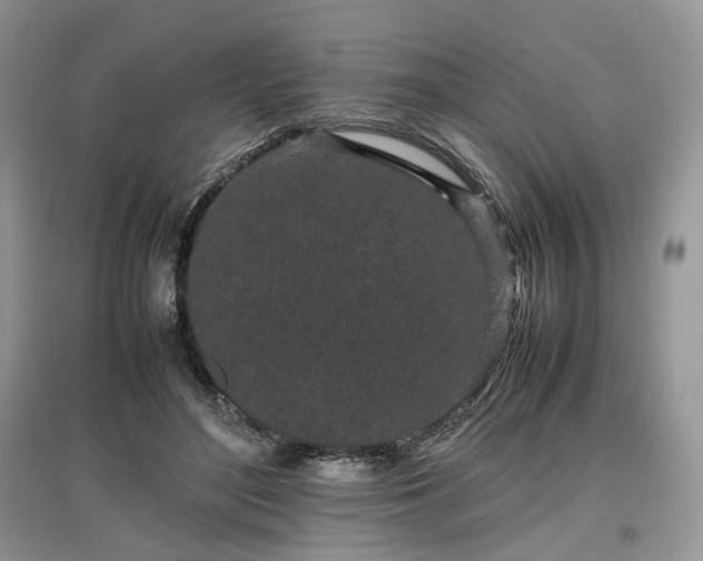 X0000097640500200803071556