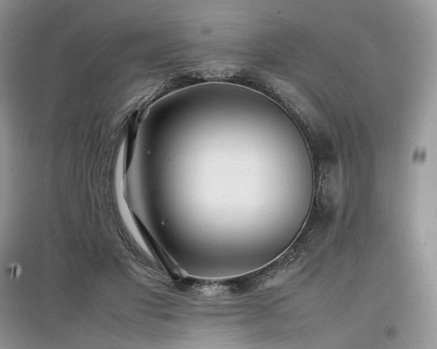 X0000097640501200803071556