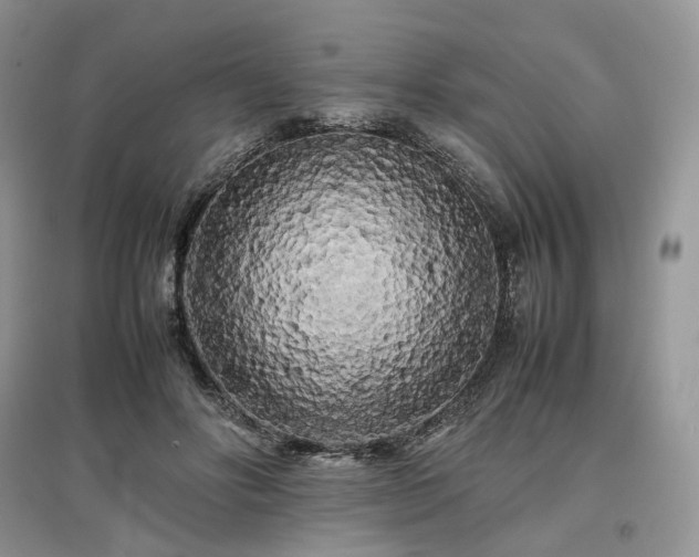 X0000097640502200803071556