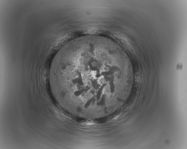 X0000097640503200803071556