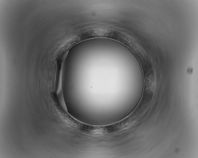 X0000097640505200803071556