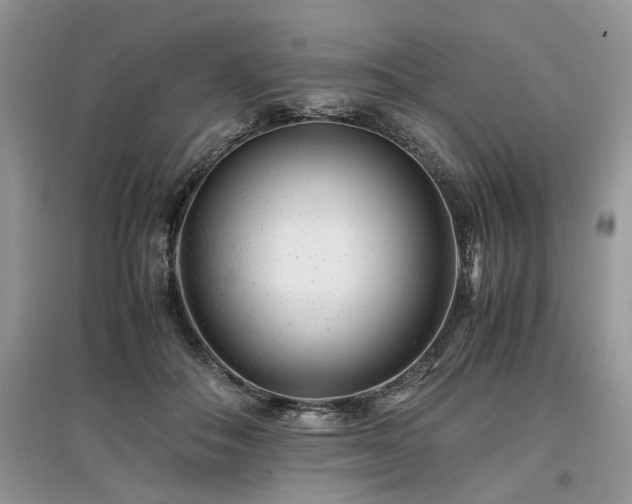 X0000097640506200803071556