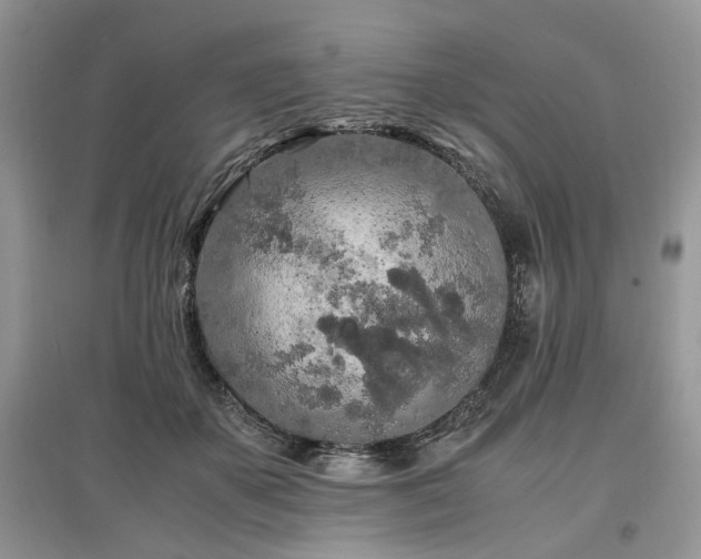 X0000097640507200803071556