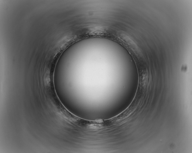 X0000097640508200803071556