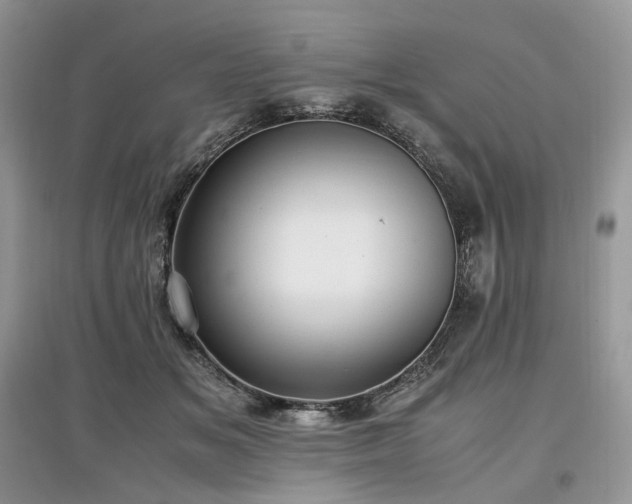 X0000097640509200803071556