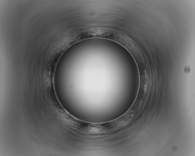 X0000097640510200803071556