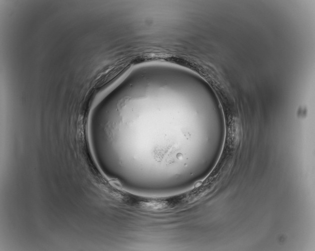 X0000097640511200803071556