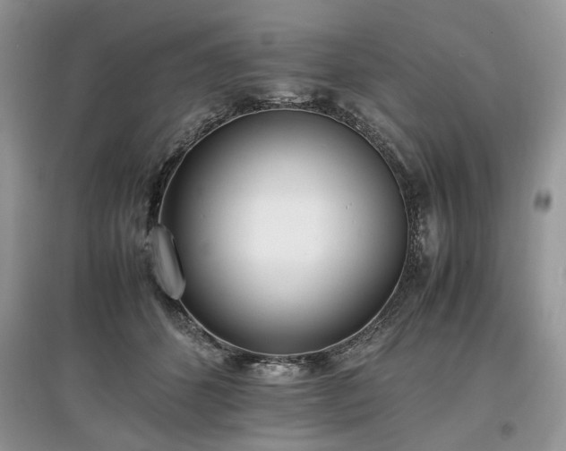 X0000097640512200803071556