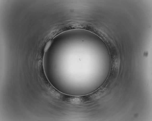 X0000097640513200803071556