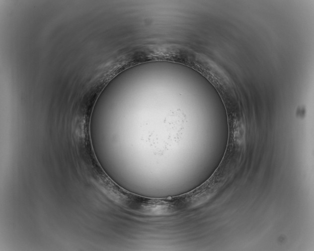 X0000097640514200803071556