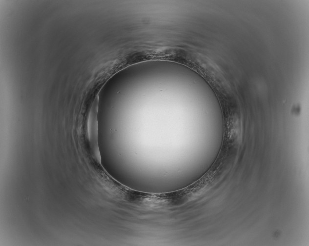 X0000097640515200803071556