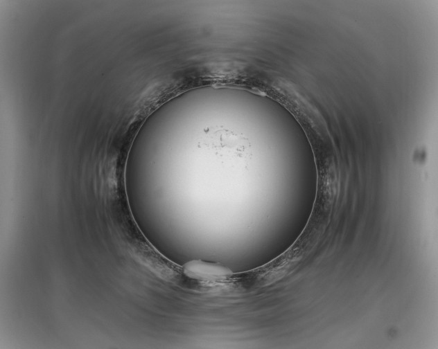 X0000097640516200803071556