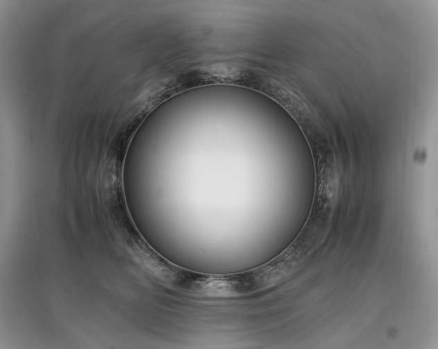 X0000097640518200803071556