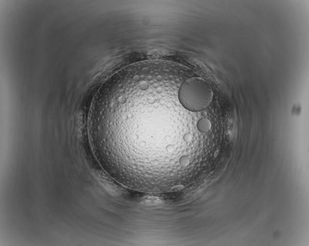 X0000097640519200803071556