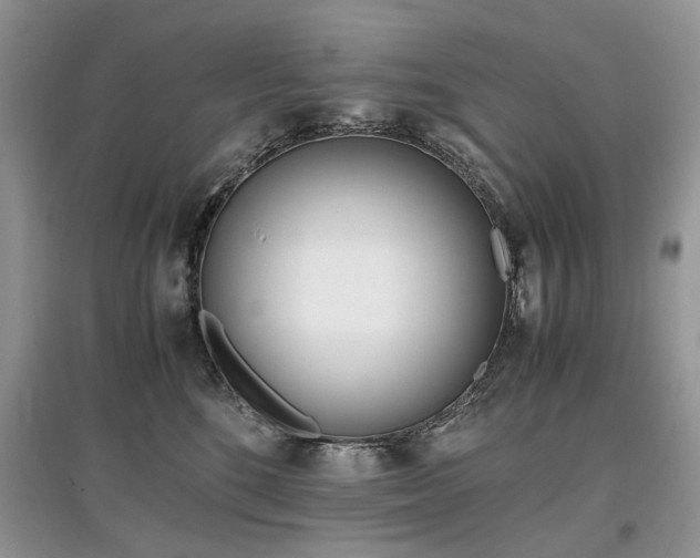 X0000097640520200803071556