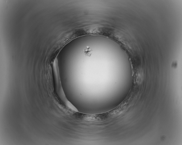 X0000097640521200803071556