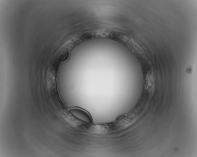 X0000097640522200803071556