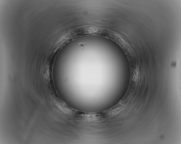 X0000097640524200803071556