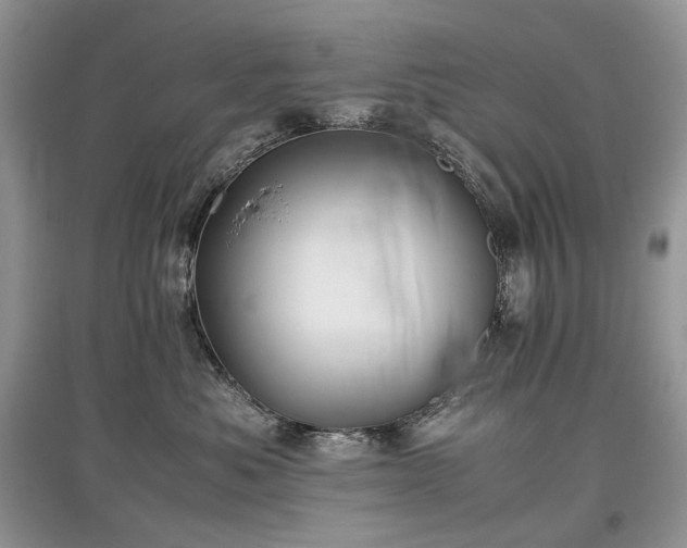 X0000097640525200803071556