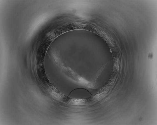 X0000097640526200803071556