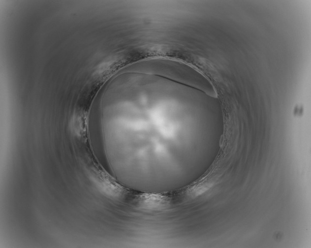 X0000097640528200803071556