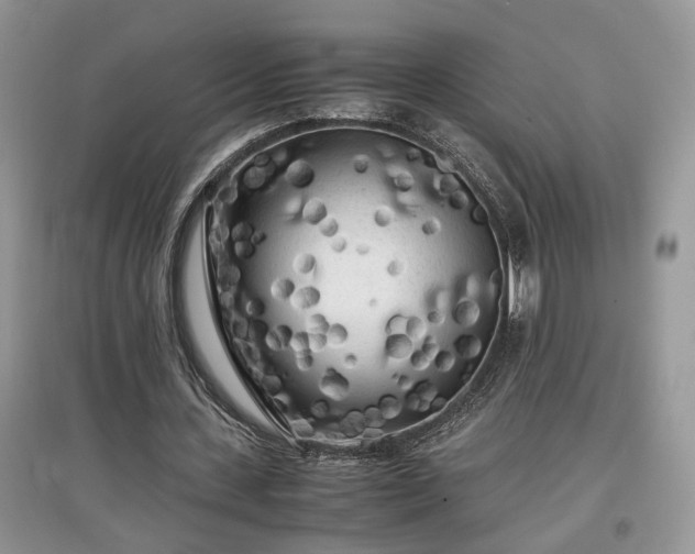 X0000097640531200803071555