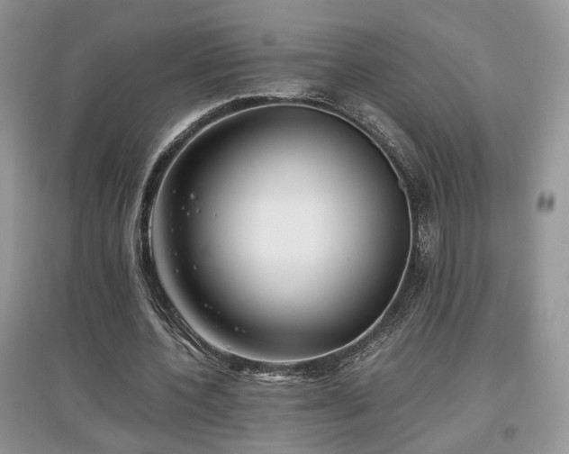 X0000097640532200803071555