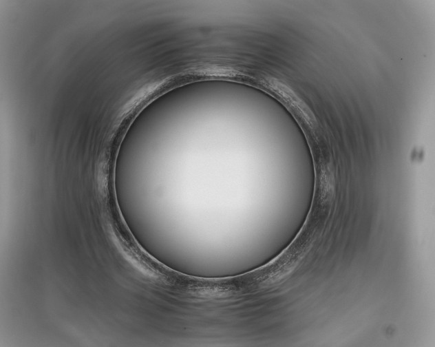 X0000097640533200803071555