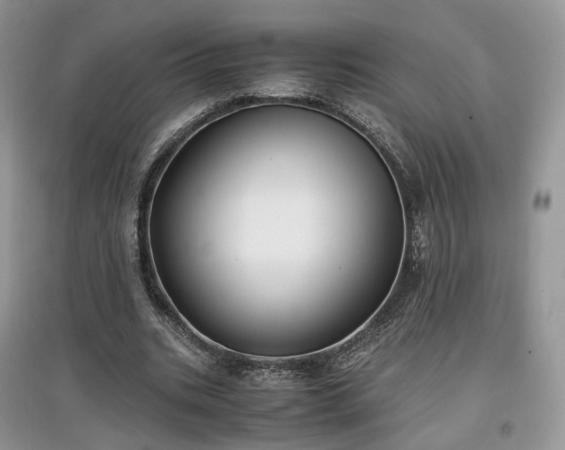 X0000097640535200803071555