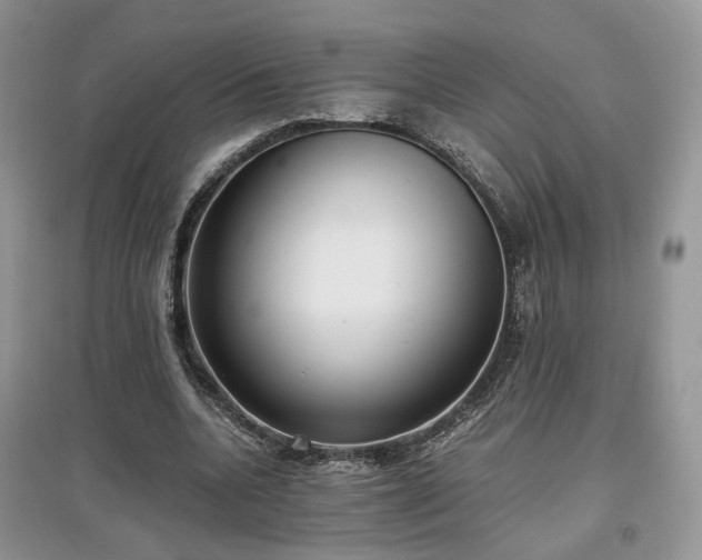 X0000097640536200803071555