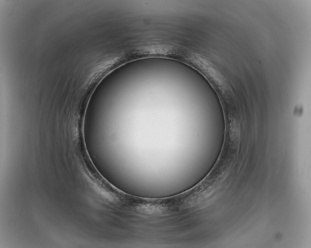 X0000097640537200803071555