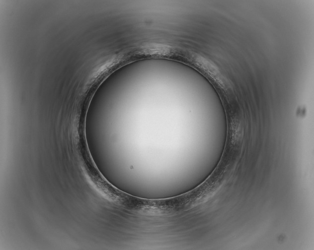 X0000097640538200803071555