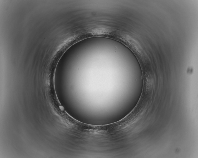 X0000097640539200803071555