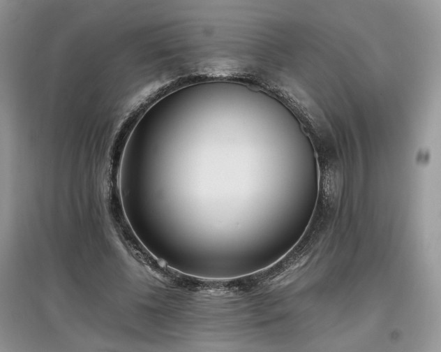 X0000097640540200803071555