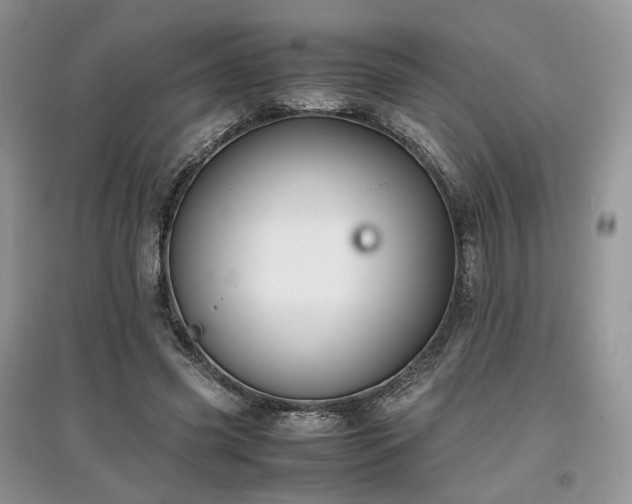 X0000097640541200803071555