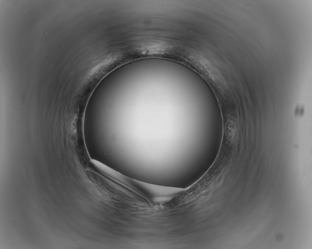 X0000097640543200803071555