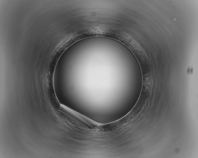 X0000097640544200803071555