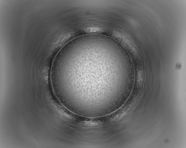 X0000097640545200803071555