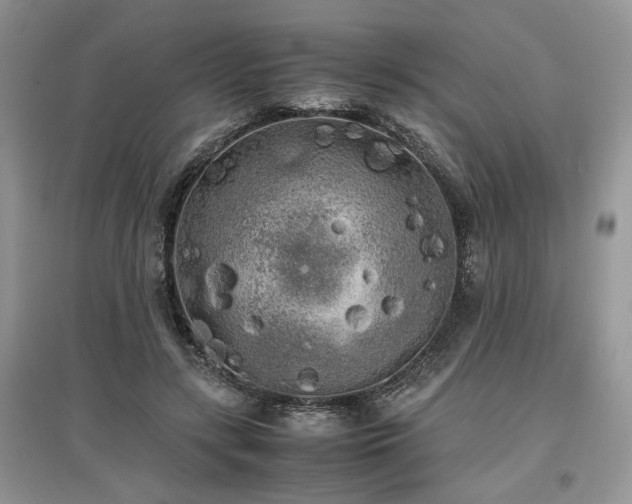 X0000097640547200803071555