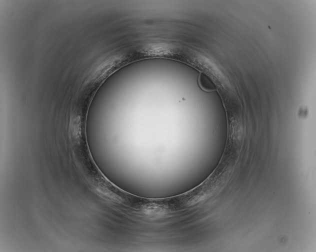 X0000097640549200803071555